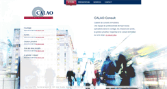 Desktop Screenshot of fr.calaoconsult.be